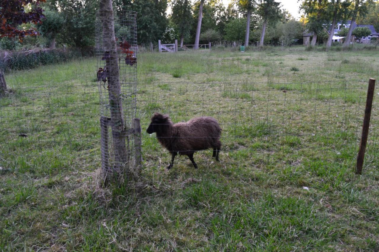 De Galerie - Landgoed Rijckholt Villa Geersdijk ภายนอก รูปภาพ